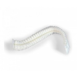 Charlotte 100pcs Charlotte 100pcs