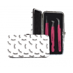 Etui magnétique pour pinces