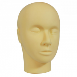 Tête d'entrainement